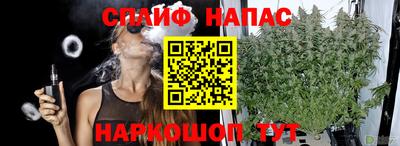 индика Кандалакша