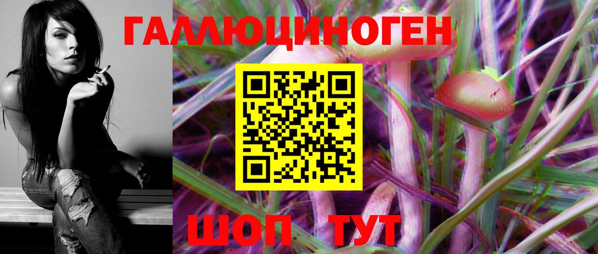 Псилоцибиновые грибы Psilocybe Новозыбков