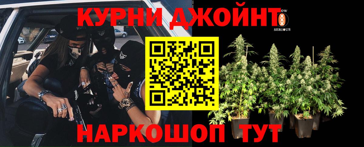 Каннабис OG Kush  Вход с VPN  Каннабис SATIVA & INDICA  Новозыбков 